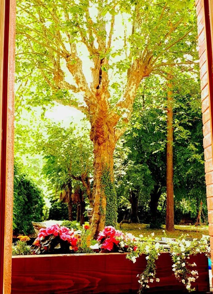 Bed and Breakfast La Scierie Quillan Exterior foto